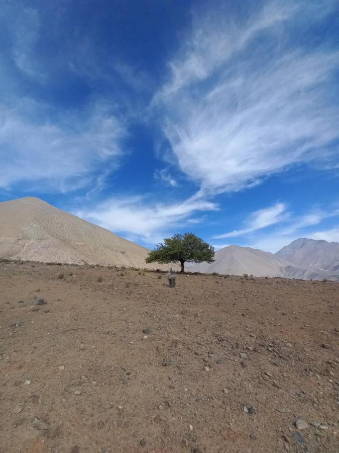 Campo De Cielo Mamalluca Valle De Elqui Vicuna Exterior photo